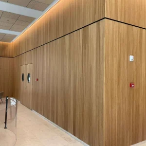 T&G PERF Panels